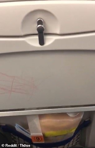 The child painted a chair on the plane, and my mother helped - Yamma, Children, Airplane, Vandalism, Video, Longpost