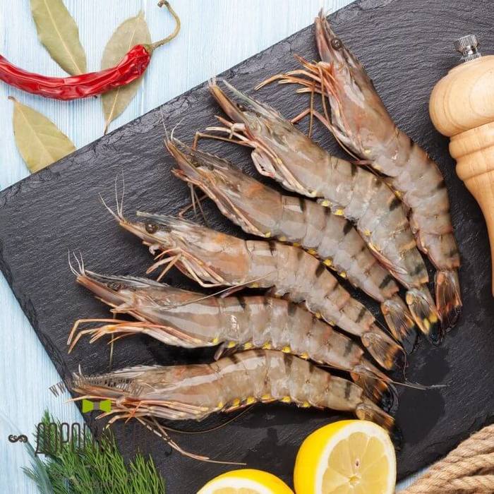 Shrimp on the Russian market - My, , Delicacy, Seafood, Longpost