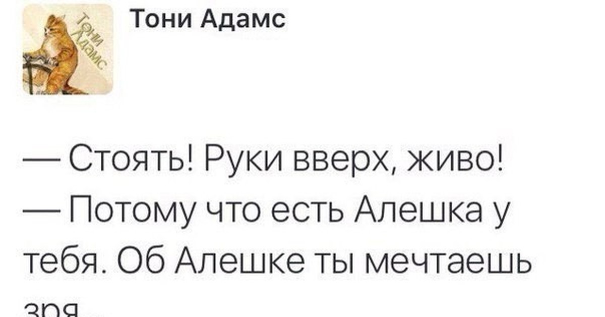 Потому что есть алешка. Руки вверх прикол. Руки вверх картинки приколы. Руки вверх потому что есть Алешка у тебя.