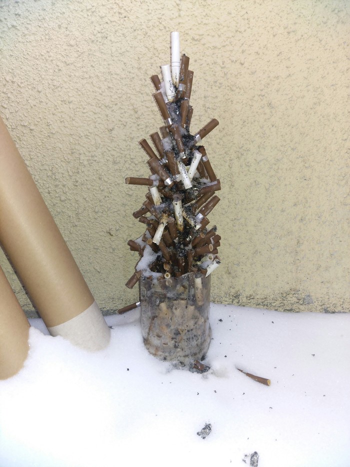 Ёлку поставил