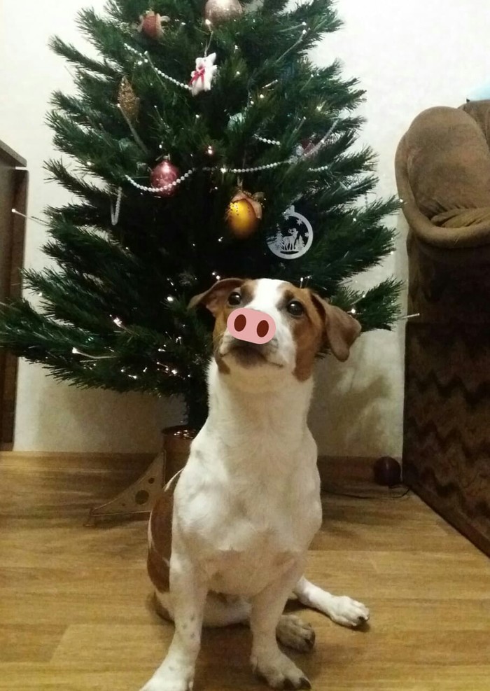      --, 
