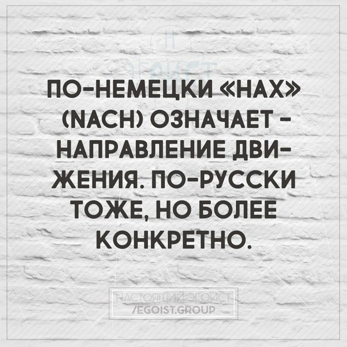 Направление движения. - Юмор, Честно украдено, Картинка с текстом