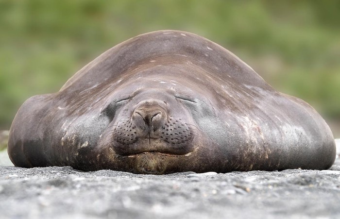 Всем хороших выходных