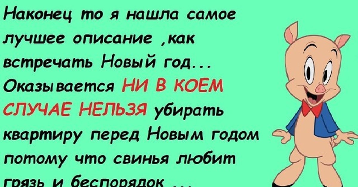 Самое лучшее описание. Наконец то я нашла самое лучшее описание как встречать новый год.