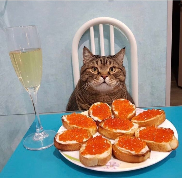 https://cs11.pikabu.ru/post_img/2019/01/01/8/1546345688112119195.jpg