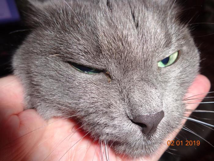 Второе января