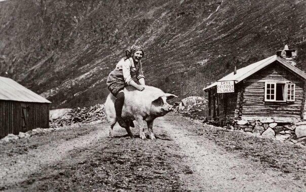 Simple amusements in rural Norway, 1932 - Norway, Pig, Entertainment, Historical photo