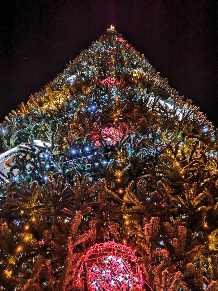 Новогодняя ёлка