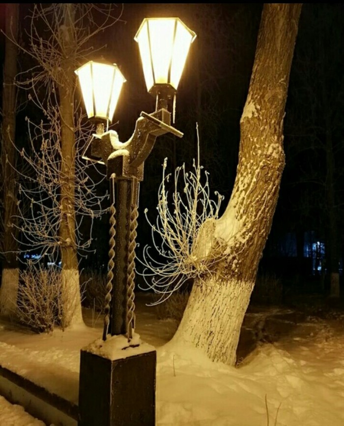 frost - Winter, freezing, Night, Frost, Longpost