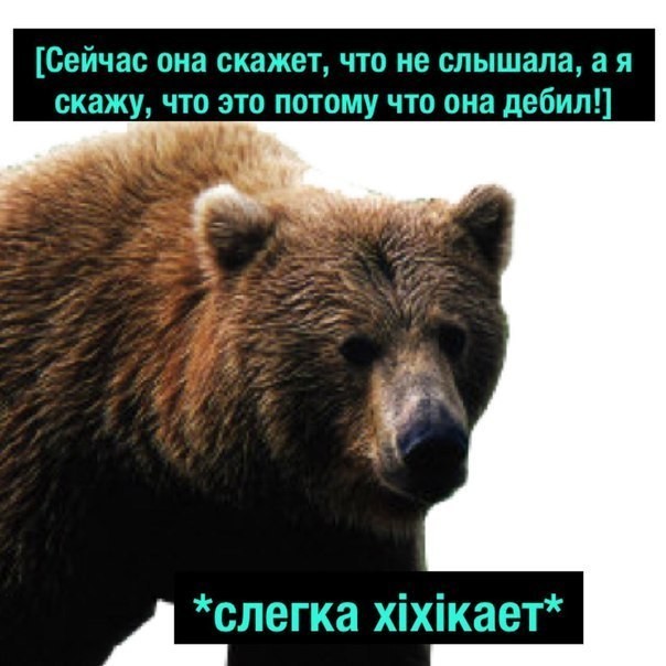 Polkol - Fox, The Bears, Humor, Bad humor, Longpost