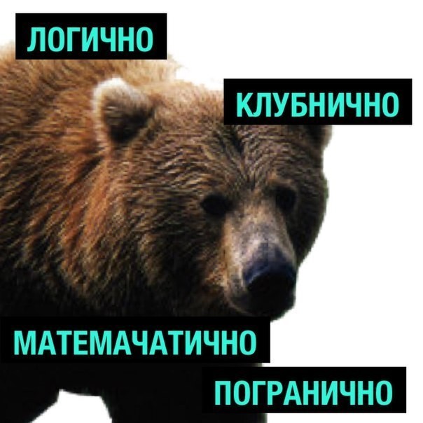 Polkol - Fox, The Bears, Humor, Bad humor, Longpost