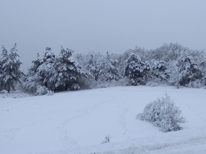 Crimean winter fairy tale and transport collapse - Ai-Petri, Crimea, Winter, , Black Sea, Summer tires, Longpost