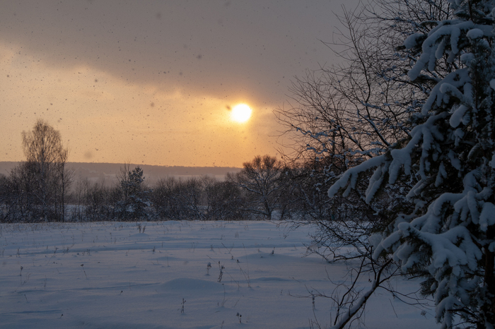 ������ �����