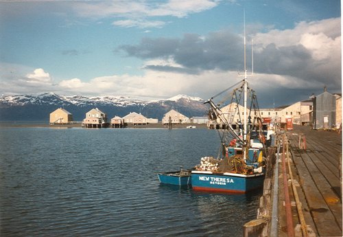 Work in Alaska. - My, Work and Travel, Alaska, Work, Video, Longpost