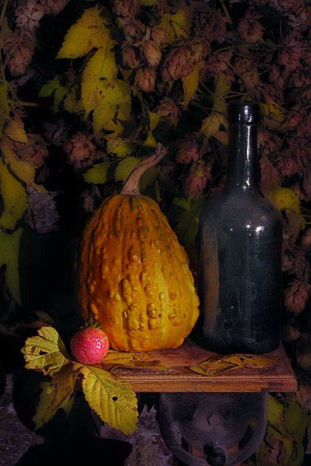 November still life - My, Still life, 