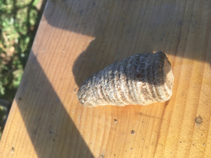 Found in rubble... what is it?... just wondering! - My, Find, Interesting, Longpost