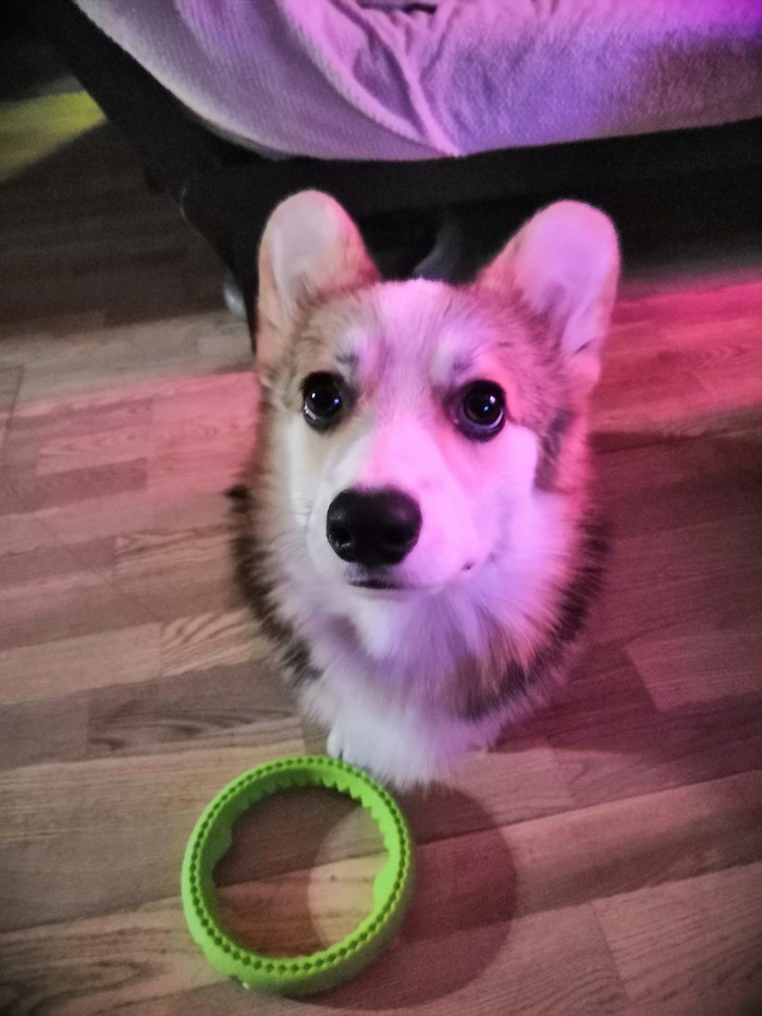 ��� ��� ���� ������� ���������!