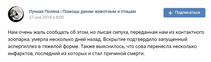 камышовка садовая чем кормить. Смотреть фото камышовка садовая чем кормить. Смотреть картинку камышовка садовая чем кормить. Картинка про камышовка садовая чем кормить. Фото камышовка садовая чем кормить