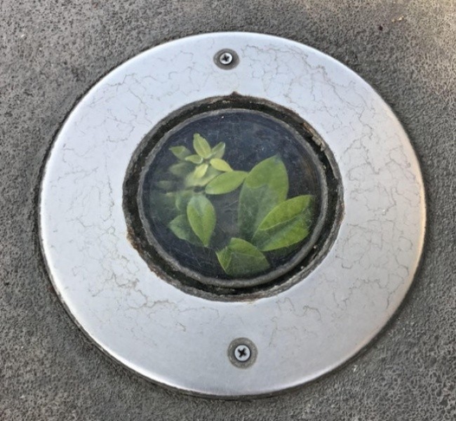 Stranger - Lamp, Sidewalk, Cheerfulness, Stranger