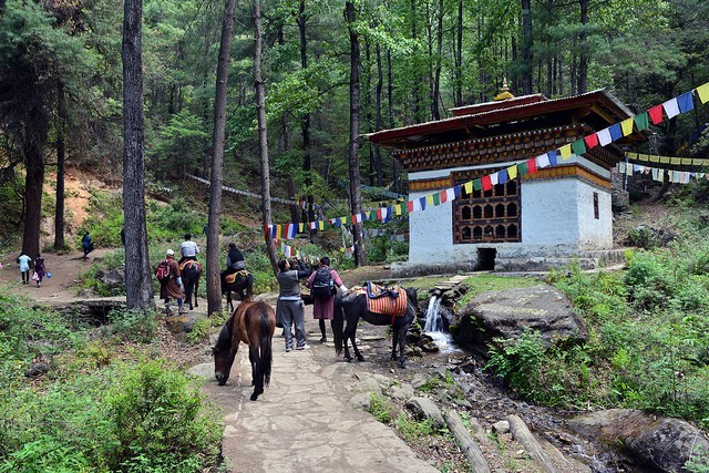 Taktsang Lhakhang Monastery. - Bhutan, , Buddhism, Longpost