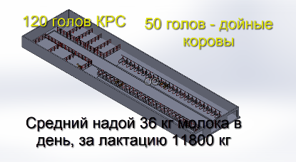 Проект коровника на 50 голов | Молочная ферма | Дзен