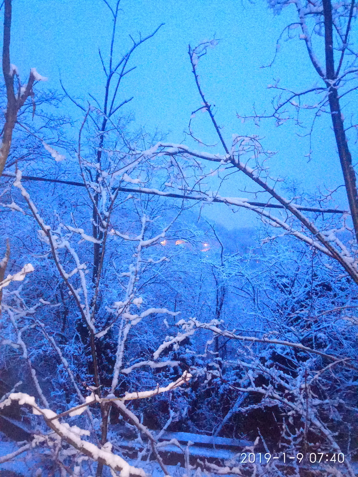 ������ ����