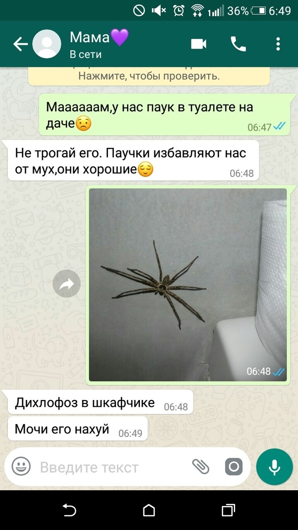 Spider - Spider, Toilet, Correspondence