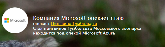   Microsoft Microsoft, Linux, 