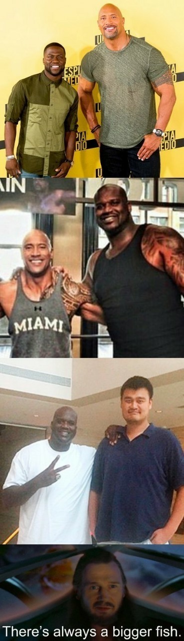 More and more! - Big people, Shaquille O'Neill, From the network, Dwayne Johnson, Yao Ming, Kevin Hart