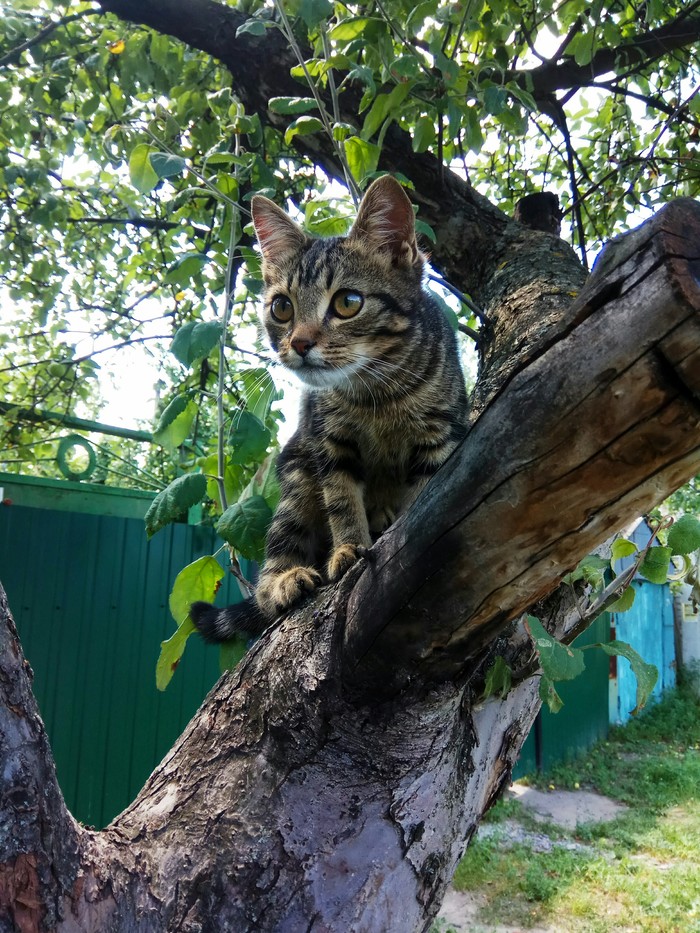 ������ ��������� �������