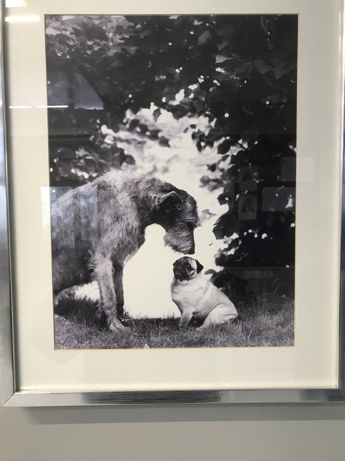 � ����� ������� ��������