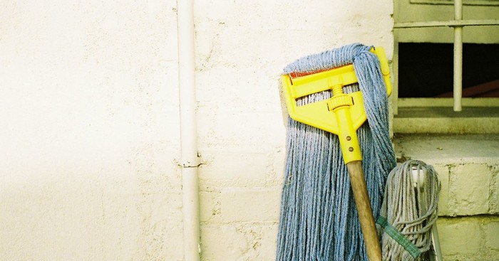 Just a broom)) - Humor, Mop, Broom