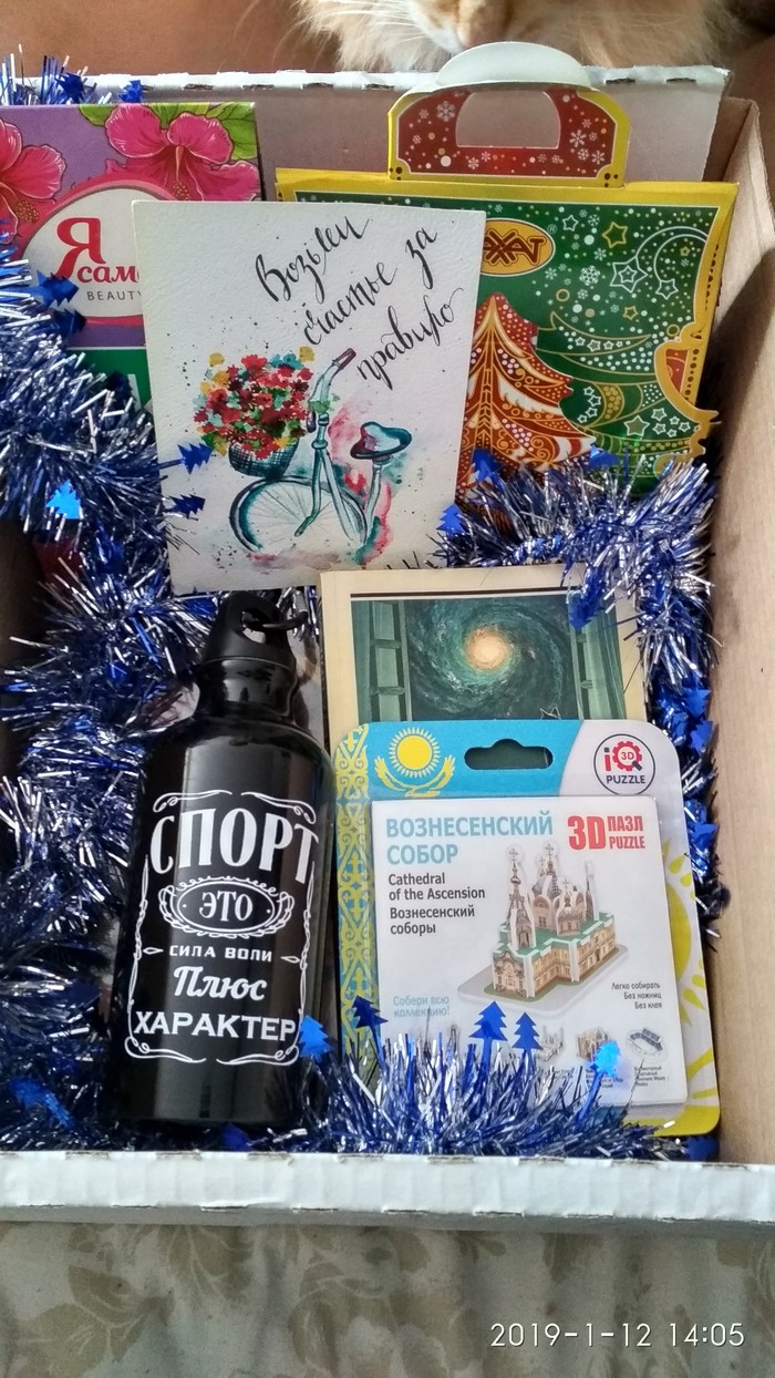 ADM Almaty - Astana - My, Secret Santa, Gift exchange report, Gift exchange, cat, Longpost