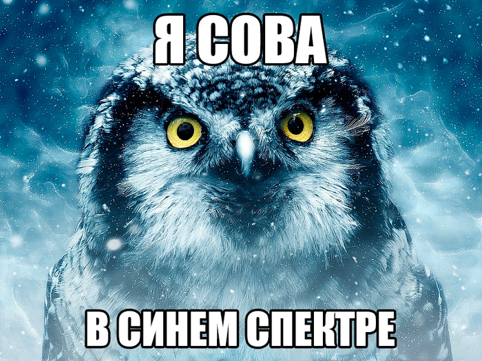 Что такое охота на сов. Смотреть фото Что такое охота на сов. Смотреть картинку Что такое охота на сов. Картинка про Что такое охота на сов. Фото Что такое охота на сов