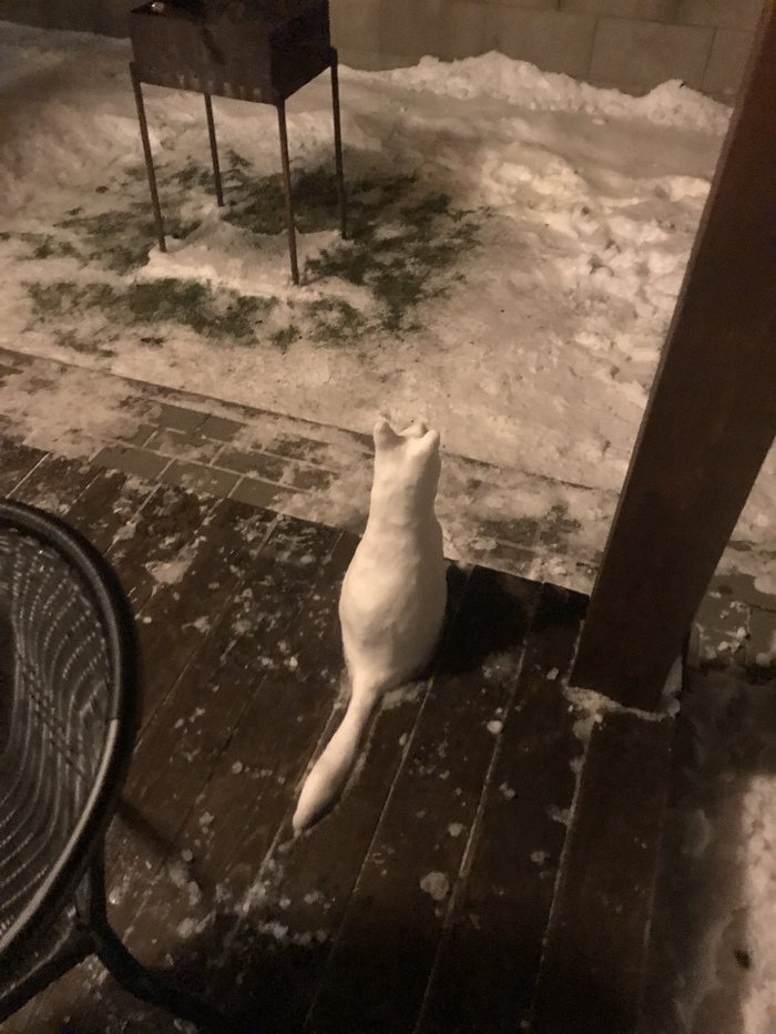 Cat - My, snowman, cat, I share, Longpost