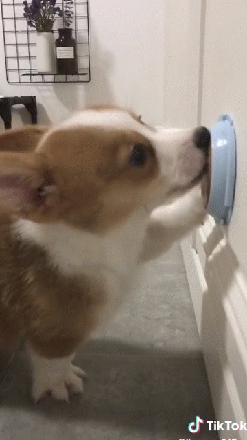  ?!