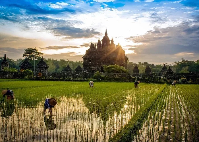 Sunrise over Plaozan Temple (Indonesia) - Sunrise, The photo, Temple, Indonesia