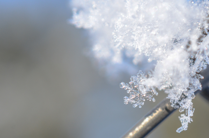 Snowflakes. - My, , Snowflake, Village, Macro, Nikon, Nikon d7000, , Macro photography