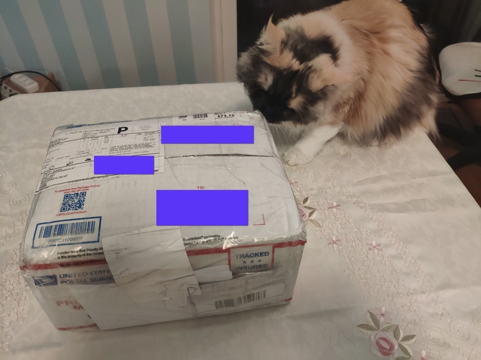 Anonymous Santa Claus Santa Clara - Mytishchi - Secret Santa, , cat, New Year, Gift exchange, Gift exchange report, Longpost