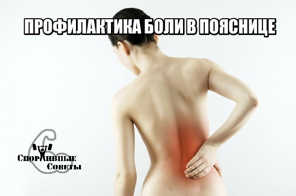 Prevention of back pain - My, Sport, Тренер, Sports Tips, Pain, Back, Health, Research, Workout, Longpost