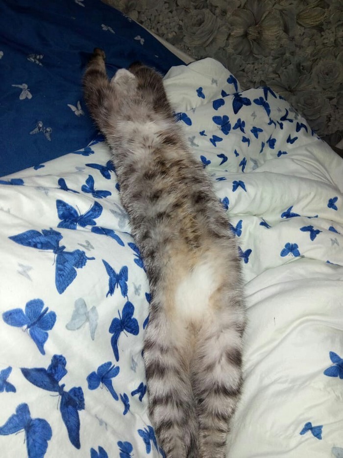 ������� ��������� ������� ��� � �����