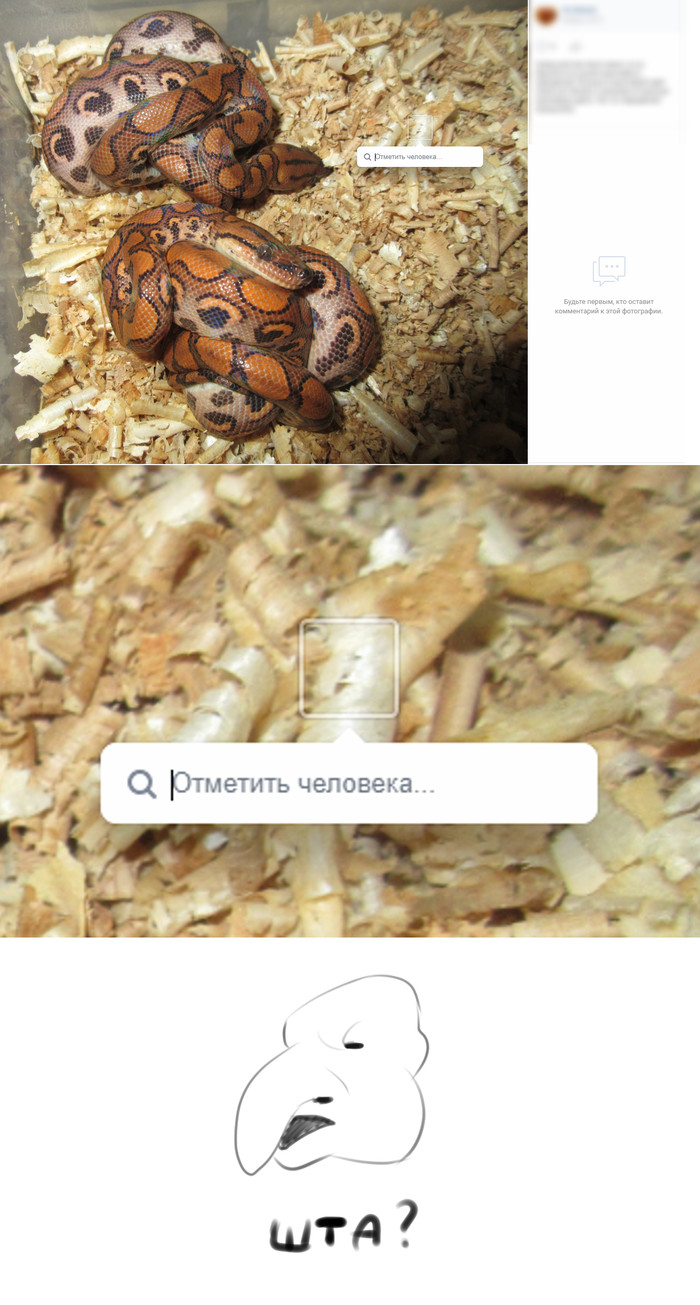 Opened! - My, Face recognition, Recognition, Snake