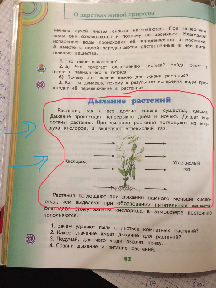 School doesn't teach bad things - Carbon, Oxygen, Textbook, My, Plants