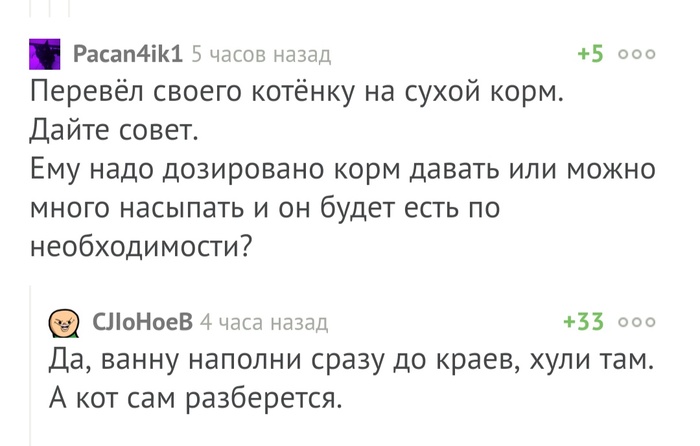 Как правильно кормить кота - Комментарии, Кот, Корм для животных, Комментарии на Пикабу, Скриншот