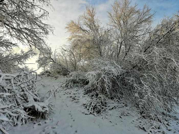 Анапа. Январь 2019 - Длиннопост, Краснодарский Край, Анапа, Снег, Моё, Зима