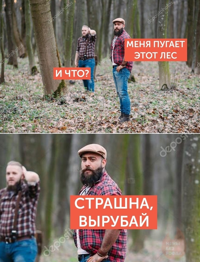  (  )
