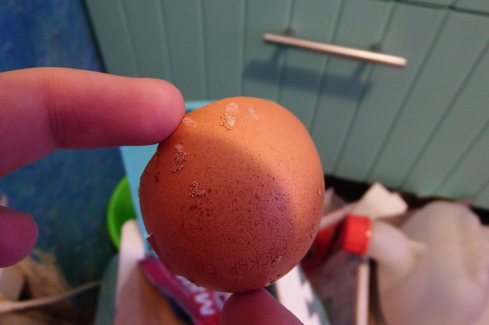 Suspicious Egg - My, Eggs, Preparation, Kinder Surprise, Rospotrebnadzor, Unclear, Longpost