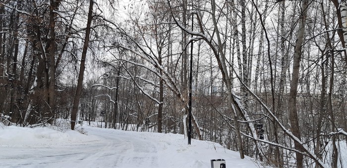 что посмотреть рядом с мгу
