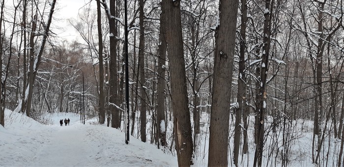 что посмотреть рядом с мгу