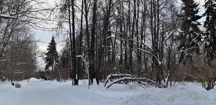 что посмотреть рядом с мгу
